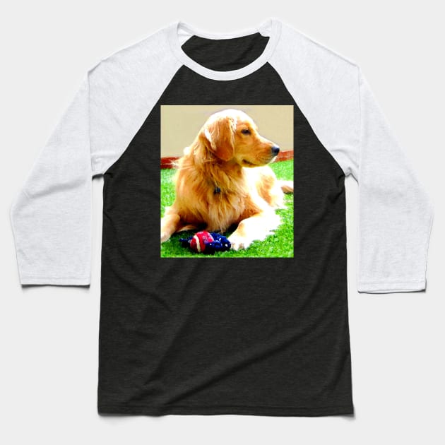 Golden Retriever Dog - Dallas Baseball T-Shirt by CarloVaro